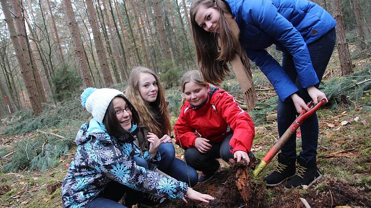 Die Schüler in Wiesentheid pflanzen sich ihren eigenen Wald. Fotos: Sabine Herteux