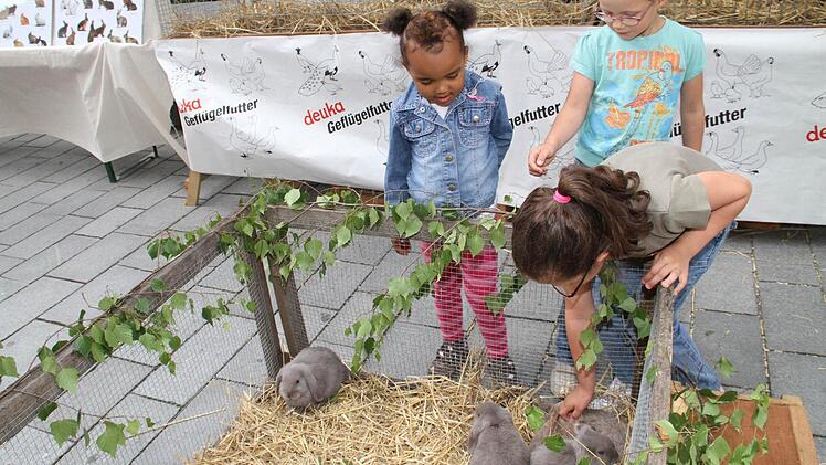 In der Gunst der kleineren Kinder standen die Kaninchen ganz hoch im Kurs.