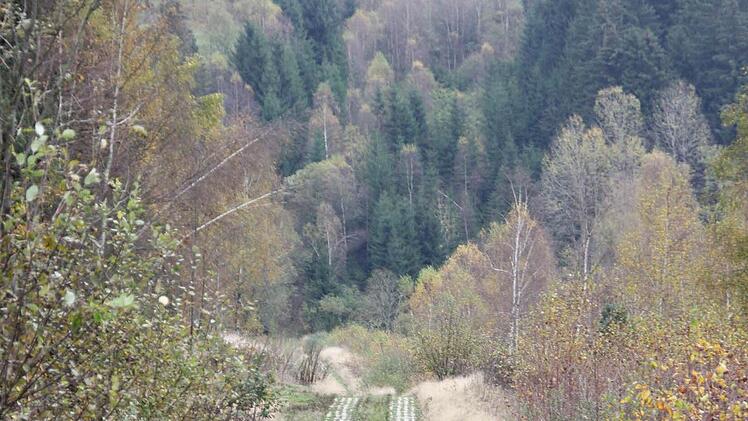 Der Kolonnenweg. Im Hintergrund Titschendorfer Flur. Foto: Friedwald Schedel