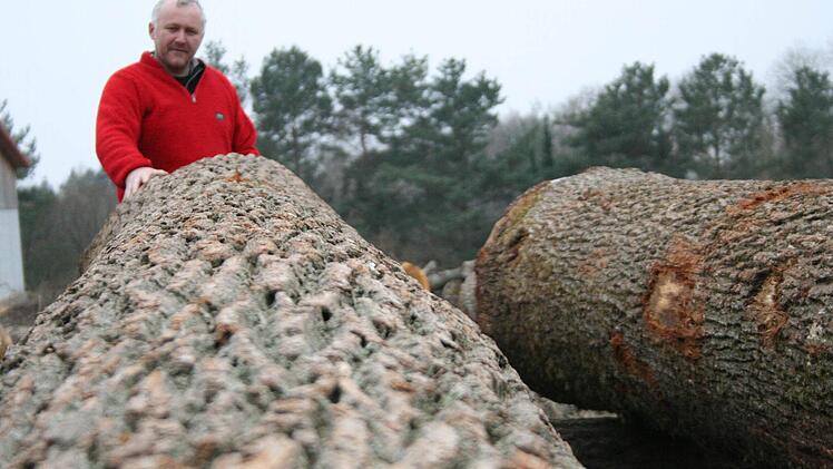 Dieter Rammensee steht an dem Eichenstamm, der heuer den höchsten Preis erzielt hat. Foto: Sabine Paulus