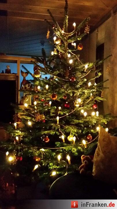 Weihnachten in Franken: Die Christbäume unserer Leser