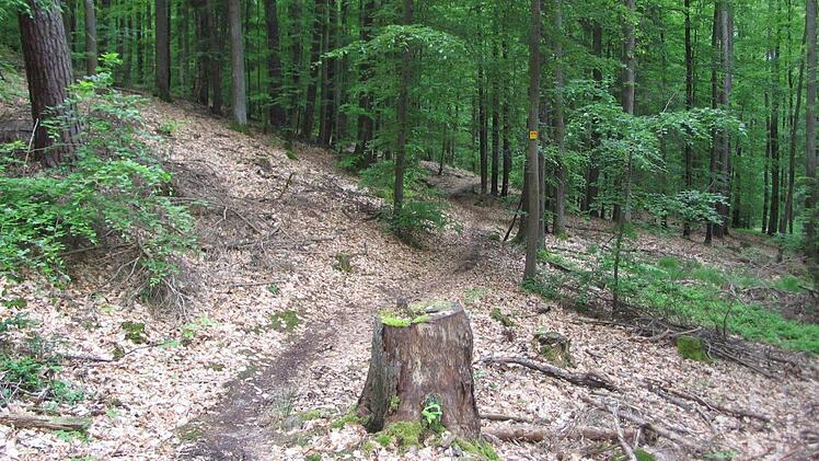 Der Prälatenweg. Foto: Günter Reinlein