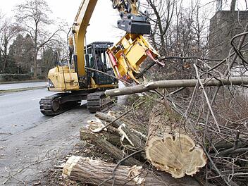 Ein Bagger mit einer riesigen Astschere lichtet die Bäume und Sträucher entlang der B 470 in Forchheim aus. Foto: Josef Hofbauer