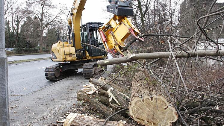 Ein Bagger mit einer riesigen Astschere lichtet die Bäume und Sträucher entlang der B 470 in Forchheim aus. Foto: Josef Hofbauer