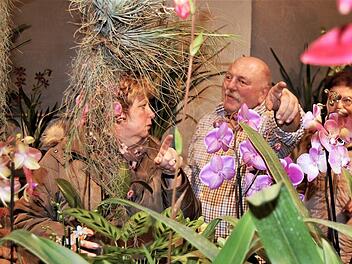 Schlossermeister Kurt Beck (59) im Gespräch mit Ausstellungsbesuchern in Nüdlingen.Sigismund von Dobschütz