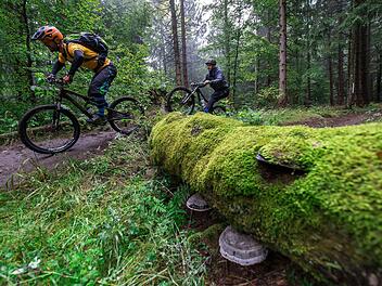 Auch wichtig: immer locker bleiben im Handgelenk. Foto: Anand Anders