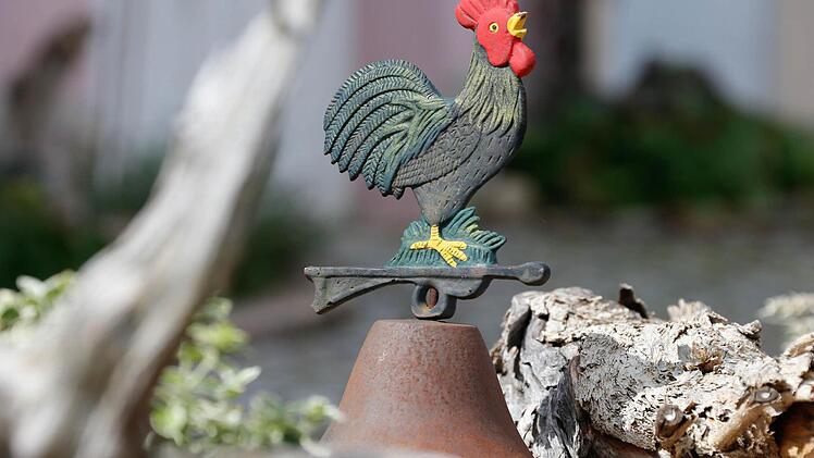 Impressionen aus Breitbrunn