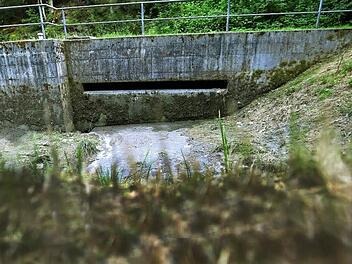 Der Markt Nordhalben muss sein bestehendes Regenüberlaufbecken erweitern. Foto: Hendrik Steffens, Archiv