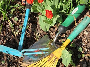 Tipps, Tricks für Hobbygärtner und natürlich Pflanzen gibt es bei der Pflanzentauschbörse beim Gartenbauverein.