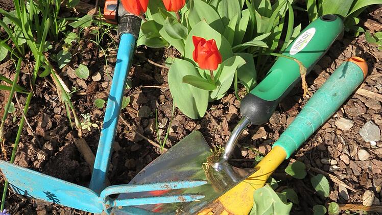 Tipps, Tricks für Hobbygärtner und natürlich Pflanzen gibt es bei der Pflanzentauschbörse beim Gartenbauverein.