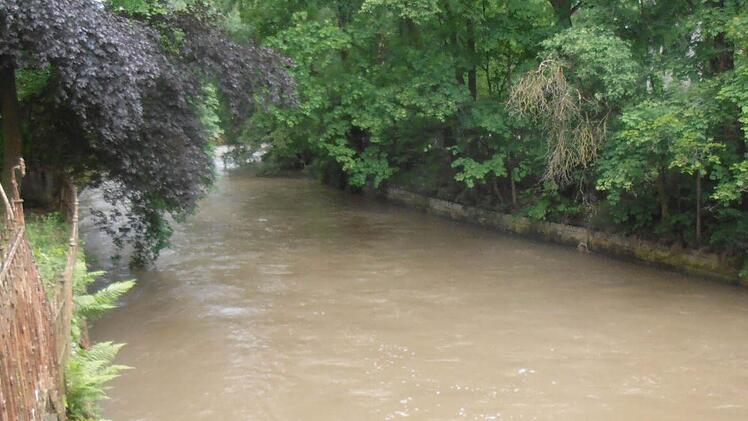 So präsentierte sich die Itz beim Blick von der Brücke in der Coburger Bahnhofstraße am Sonntag gegen 10 Uhr. Im Vergleich zum Vortag ist der Pegelstand des Flusses leicht gesunken.Fotos: Jochen Berger
