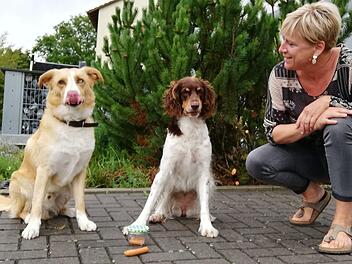 Willi und Amy wissen, dass sie die Wurst nicht fressen dürfen, ehe sie von ihrem Frauchen Petra Will die Erlaubnis bekommen. Dass sie den Befehlen folgen, ist das Ergebnis konsequenten Trainings.Foto: Heike Beudert