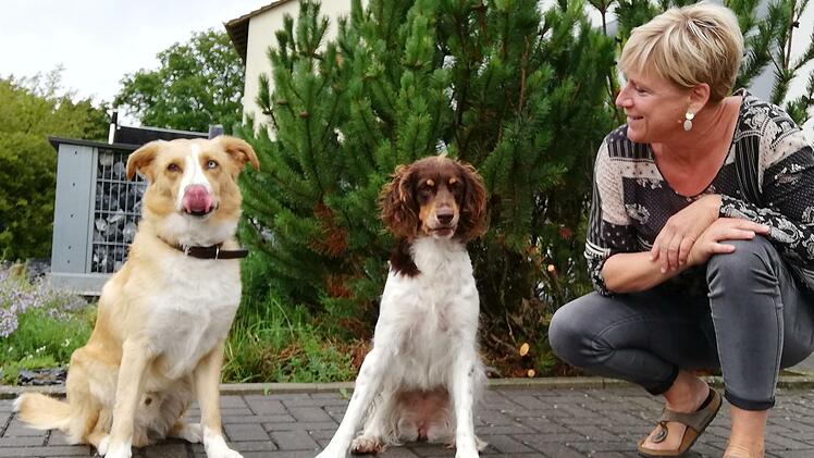 Willi und Amy wissen, dass sie die Wurst nicht fressen dürfen, ehe sie von ihrem Frauchen Petra Will die Erlaubnis bekommen. Dass sie den Befehlen folgen, ist das Ergebnis konsequenten Trainings.Foto: Heike Beudert