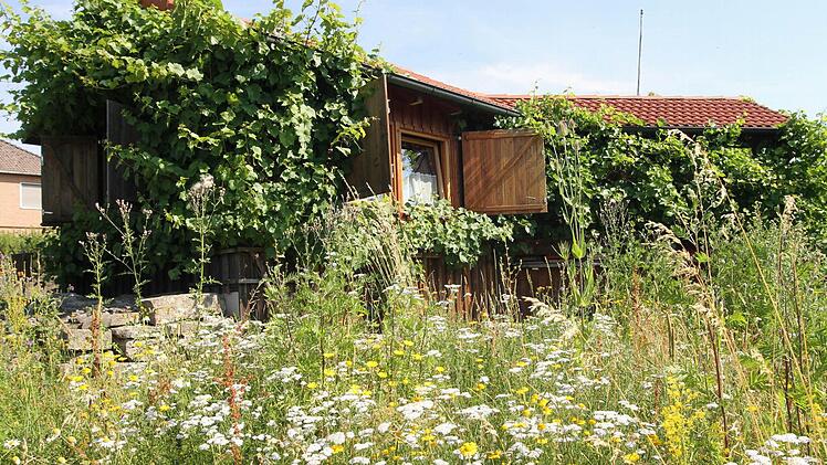 In einer landschaftlichen Idylle liegen Lehrbienenstand und Monitoring-Station.