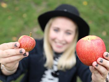 Welcher der beiden &Auml;pfel ist aus der diesj&auml;hrigen heimischen Zucht und welcher aus dem Supermarkt? Foto: Marian Hamacher