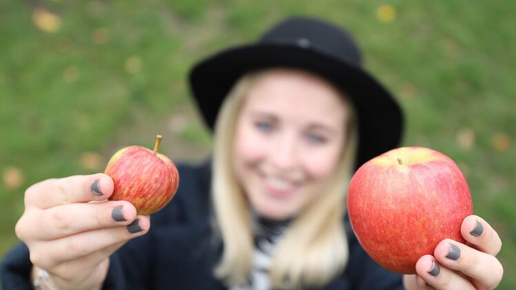 Welcher der beiden &Auml;pfel ist aus der diesj&auml;hrigen heimischen Zucht und welcher aus dem Supermarkt? Foto: Marian Hamacher