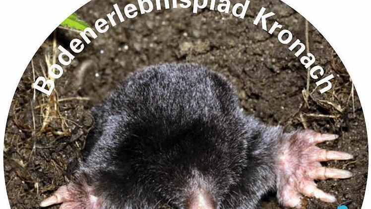 Das Logo des Lehrpfads