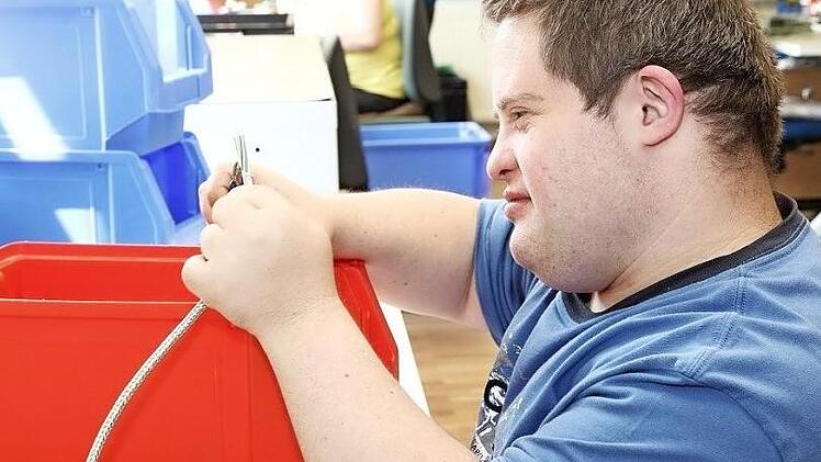 Die Arbeitsbedingungen für Menschen mit Handicaps sollen deutlich verbessert werden.  Foto: Lebenshilfe