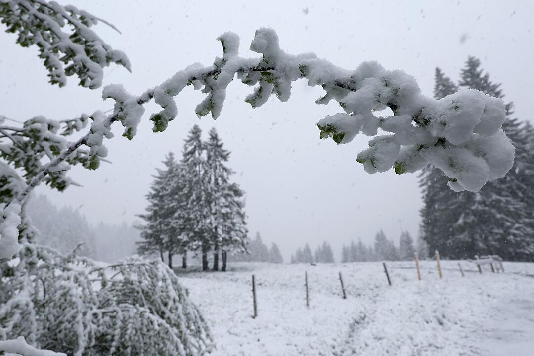 Schneefall in den h&ouml;heren Lagen Bayerns