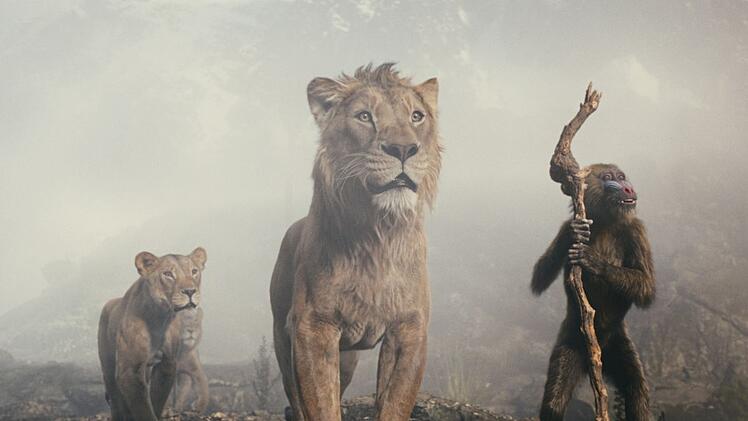 In "Mufasa: Der König der Löwen" erzählt der Affe Rafiki (rechts) die Geschichte von Simbas Vater Mufasa (Mitte).