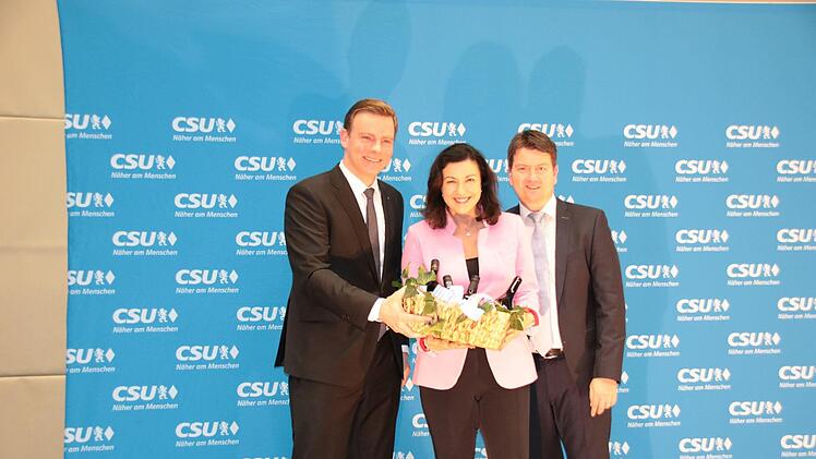 Szenen vom Hammelburger Neujahrsempfang. Foto: Ralf Ruppert