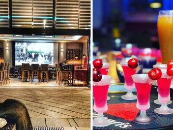 Forchheim: Cocktail-Restaurant "Dash Club" eröffnet bald - Über 200 verschiedene Cocktails