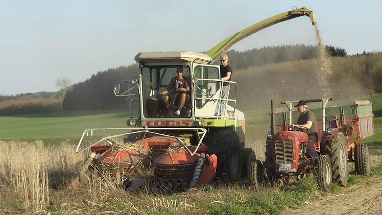 Das trockene und warme Wetter Anfang April war ideal für Erich Pausch (Mitte) und seine Erntehelfer, das Elefantengras (Miscanthus) auf dem Feld einzuholen. Vor Jahren hatte der 53-Jährige im österreichischen Lienz eine Versuchsanbaufläche besucht und beschlossen, es bei sich in Feldbuch zu probieren. Mit dem Ertrag ist er sehr zufrieden.