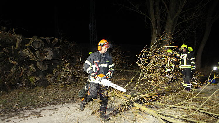 Baum drohte auf die Schienen zu stürzen: Biber schuld an Feuerwehreinsatz