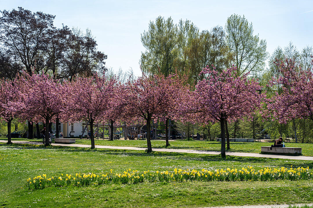Wundersch&ouml;ne Naturfotos aus Bamberg.