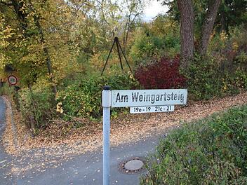 Am Weingartsteig hat die Forchheimer Stadtverwaltung bereits einen Testlauf für das "flexible Baulandmodell" gemacht. Foto: Josef Hofbauer/Archiv