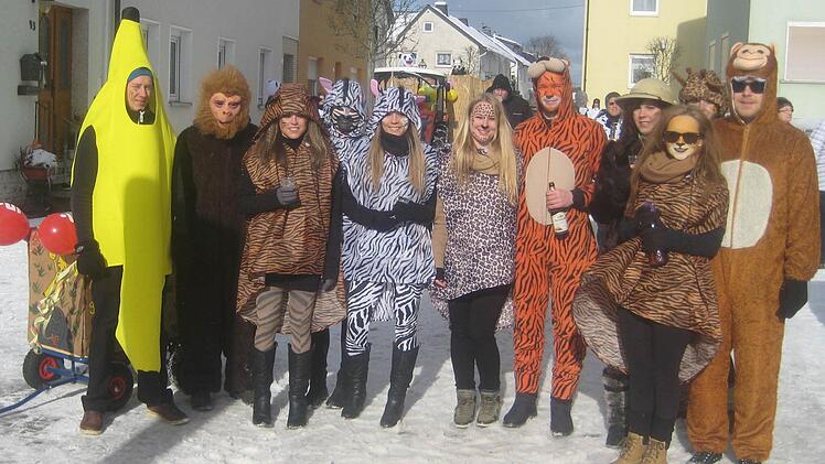 Faschingsumzug in Teuschnitz. Foto: Paul Hader