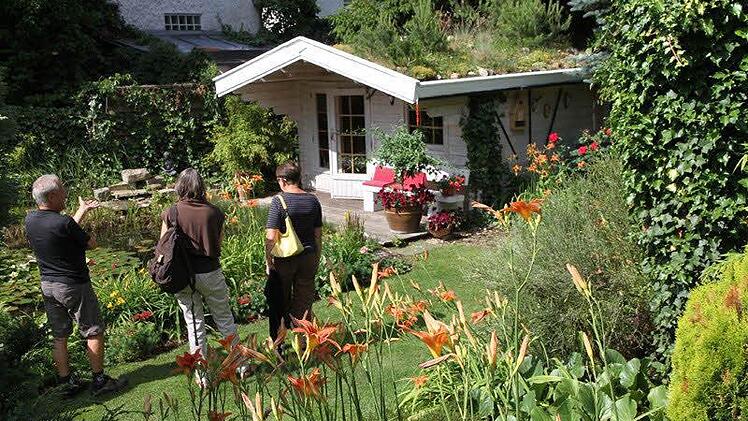Einen reinen Ziergarten hat sich Willi Ismaier in Hausen geschaffen. Foto: Mathias Erlwein