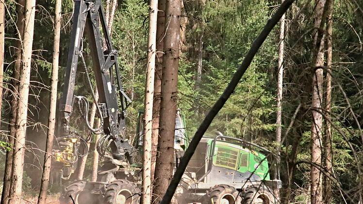 Kraftvoll bahnt sich der Holzvollernter durch die Waldabteilung "Baumgarten" am Losberg bei Ebern, um  geschädigte Stämme zu holen und zu verarbeiten.