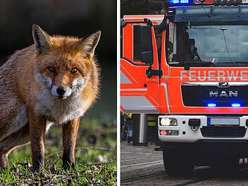 Lehrberg: Auto prallt mit Fuchs zusammen &ndash; dann f&auml;ngt es Feuer