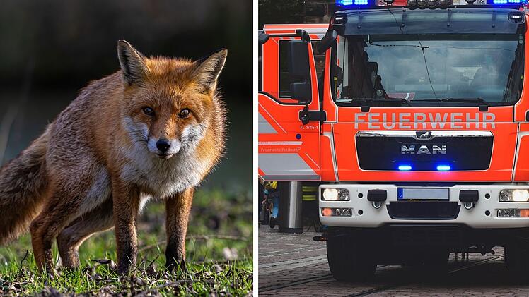 Lehrberg: Auto prallt mit Fuchs zusammen &ndash; dann f&auml;ngt es Feuer