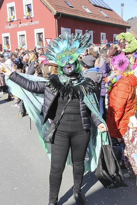 Fasching 2025 in Stadtsteinach!