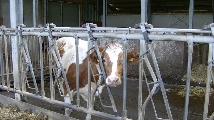 Foto: Petra Malbrich