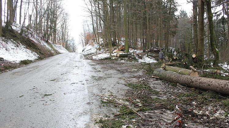 In Banz wurden am Donnerstag während des Sturmes mehrere Bäume umgeknickt und fielen auf die Kreisstraße. Am Freitag wurde die Fahrbahn freigeräumt.