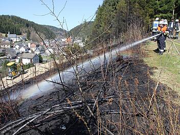 Die Feuerwehren Förtschendorf, Steinbach am Wald und Teuschnitz löschten den Waldbrand, bevor die Flammen auf den Hochwald übergreifen konnten.  Fotos: Friedwald Schedel