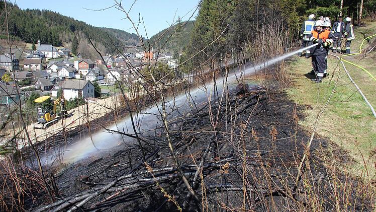 Die Feuerwehren Förtschendorf, Steinbach am Wald und Teuschnitz löschten den Waldbrand, bevor die Flammen auf den Hochwald übergreifen konnten.  Fotos: Friedwald Schedel