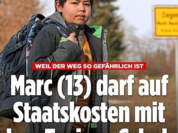 "Bild" berichtete auf der Homepage groß über das Urteil und ging nicht gerade zimperlich mit dem Landratsamt um, spricht von "Bürokraten" und einer Abrechnung der Richterin.  Screenshots: FT