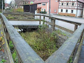 Die Sanierung des Brunnenbachs in Lettenreuth soll im nächsten Jahr erfolgen. Foto: Horst Habermann