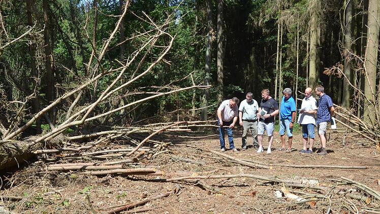 D&uuml;rresch&auml;den am Bausenberg - schon 2019 ein Problem.