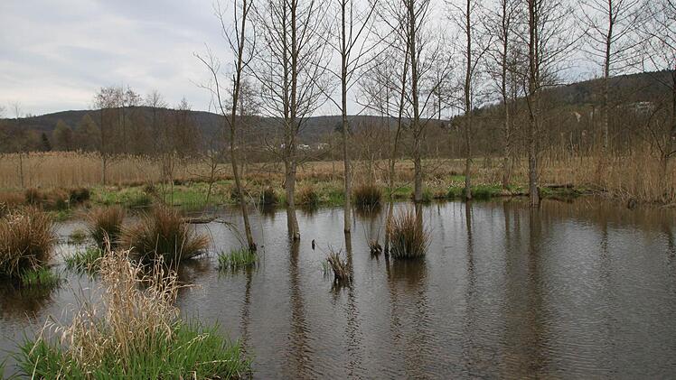 Ringsherumg hat sich die Biber-Familie ein Paradies geschaffen.