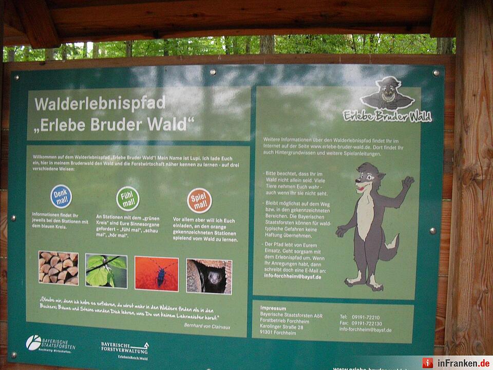 ABO Plus-Herbstwanderung Bamberg