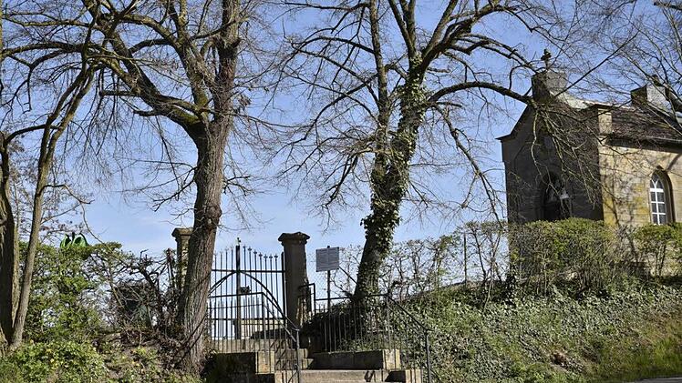 Mit großer Mehrheit sprachen sich die Teilnehmer bei einer Abstimmung dafür aus, dass beide Bäume am Eingang zum Friedhof nicht gefällt werden. Fotos: Gerold Snater