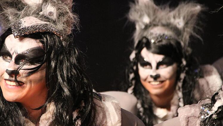 Prunksitzung 2019 in Stadtsteinach. Foto: Jürgen Gärtner