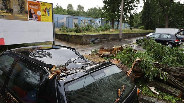 Ein Baum krachte in der Oberpfalz auf ein Auto.