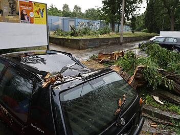 Ein Baum krachte in der Oberpfalz auf ein Auto.