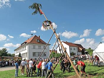 Mit viel Geschick bringen die Trailsdorfer ihren Kirchweihbaum in die Senkrechte. Fotos: Mathias Erlwein